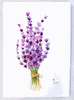 Imagen de Lavanda, colección "Flores"